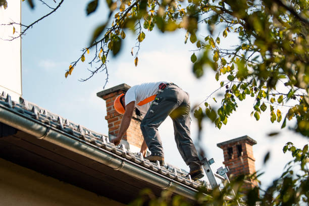 Best Roof Waterproofing Services  in Portage, WI